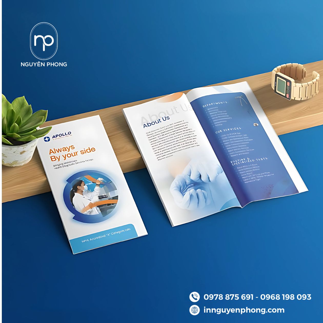 Mẫu logo nha khoa in trên brochure